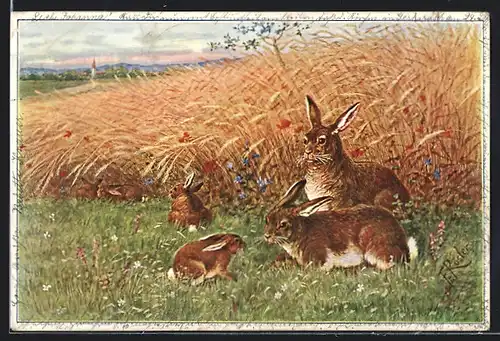 Künstler-AK Fr. Rösler: Hasen mit Jungtieren am Weizenfeld