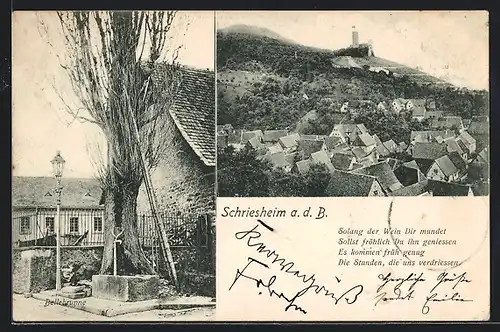 AK Schriesheim a. d. B., Ortsansicht, Blick auf Belle-Brunnen