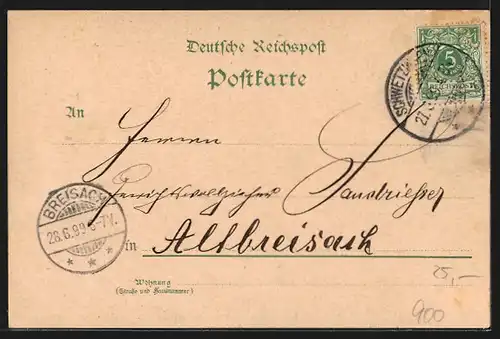 Lithographie Schwetzingen, Moschee, Merkur-Tempel, Apollo-Tempel, Hirschbassin und Schloss