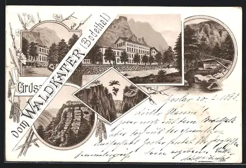 Lithographie Thale, Gasthaus Waldkater
