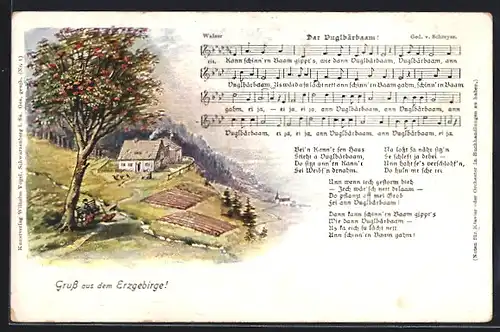 AK Partie aus dem Erzgebirge, Dar Vugelbärbaam! Lied