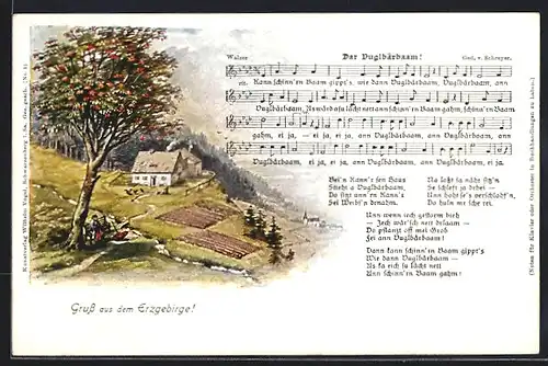 AK Lied Der Vuglbärbaam, Baum und Haus im Erzgebirge