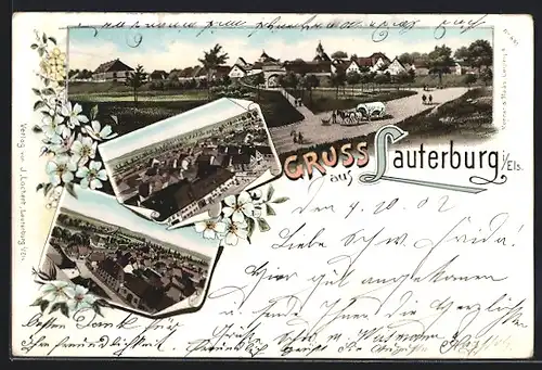 Lithographie Lauterburg i. Els., Panorama mit Landstrasse und Planwagen, Teilansichten aus der Vogelschau
