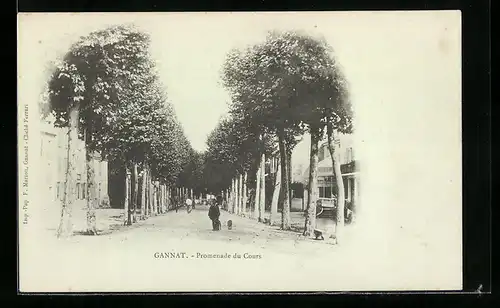 AK Gannat, Promenade du Cours