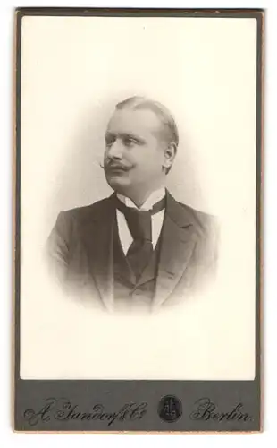 Fotografie A. Jandorf & Co., Berlin, Bellealliancestr 1, Bürgerlicher mit gezwirbeltem Schnurrbart und breiter Krawatte