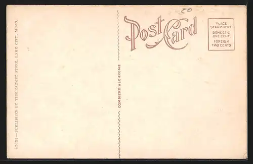 AK Lake City, MN, Post Office