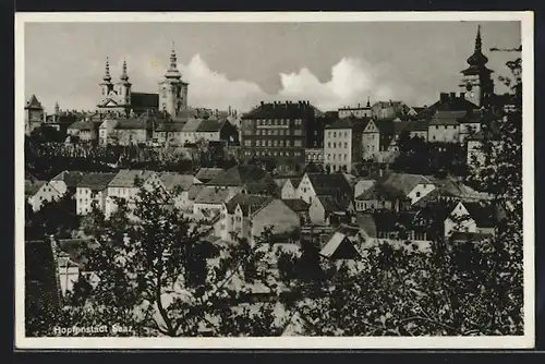 AK Saaz, Blick auf Hopfenstadt