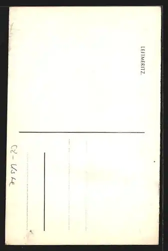 AK Leitmeritz, Ortsansicht mit Kirche