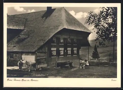 AK Bernau i. Schwarzwald, Hans Thoma-Haus mit weidenden Kühen