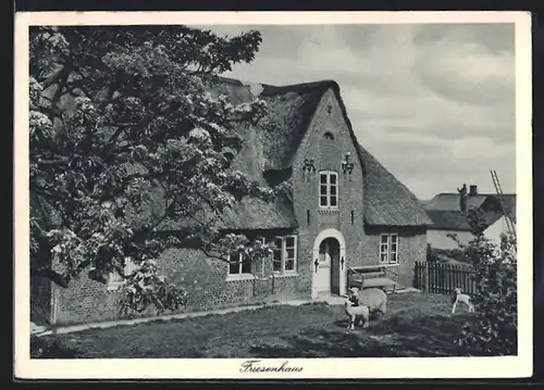 AK Norddorf auf Amrum, Nordseebad, Friesenhaus mit Schafen