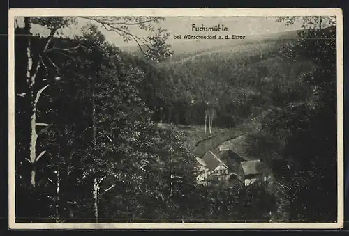 AK Wünschendorf /Elster, Gasthaus Fuchsmühle Kurt Fülle aus der Vogelschau