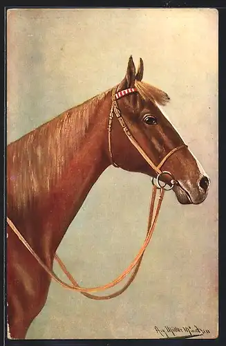 Künstler-AK August Müller - München: Braunes Pferd