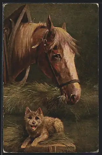 Künstler-AK August Müller - München: Katze im Pferdestall