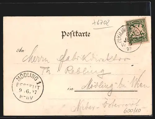 Lithographie Isenach, Forsthaus, Panorama