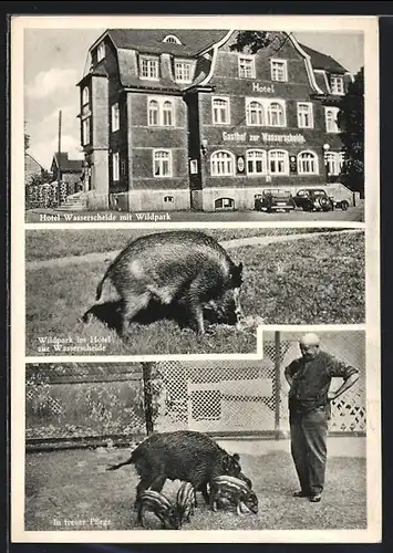 AK Würgendorf /Kr. Siegen, Hotel-Restaurant Zur Wasserscheide, Inh.: Fr. Oswald