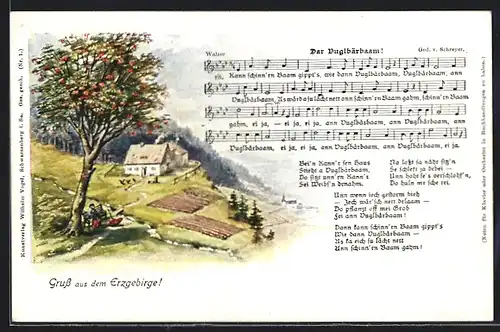 Künstler-AK Gruss aus dem Erzgebirge!, Dar Duglbärbaam, Lied mit Noten