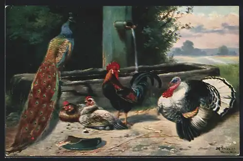 Künstler-AK Alfred Schönian: Pfau, Truthahn und Hühner an einem Brunnen