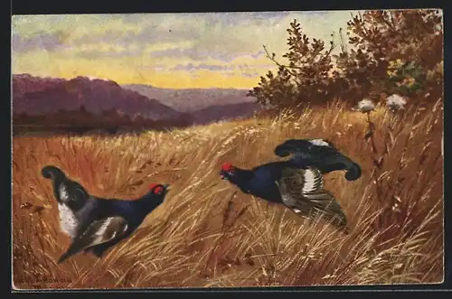 Künstler-AK Alfred Schönian: Federwild im Streit auf einer Waldwiese