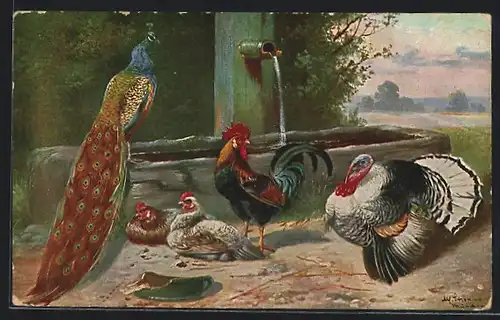 Künstler-AK Alfred Schönian: Pfau, Truthahn, Prachthühner am Brunnen