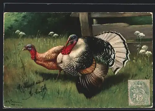 Künstler-AK Alfred Schönian: Truthahnpaaar auf einer Wiese