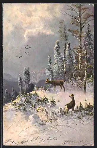 Künstler-AK M. Müller jun.: Rehe im winterlichen Wald