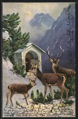 Künstler-AK M. Müller jun.: Hirsch und Rehe im Gebirge