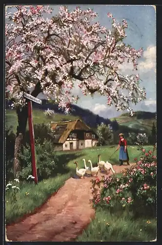 Künstler-AK Theo Stroefer Serie 960, Nr. 6: Gänsehirtin im Frühling