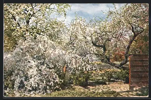 Künstler-AK Theo Stroefer Serie Nr. 1345: In einem blühenden Obstgarten