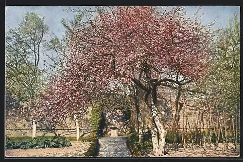 Künstler-AK Theo Stroefer Serie Nr. 1345: Garten mit blühendem Baum