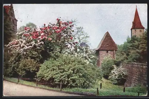 Künstler-AK Theo Stroefer Serie Nr. 1350: Ortspartie mit Kirche und blühendem Baum