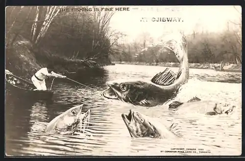 AK Angler mit riesigen Fischen