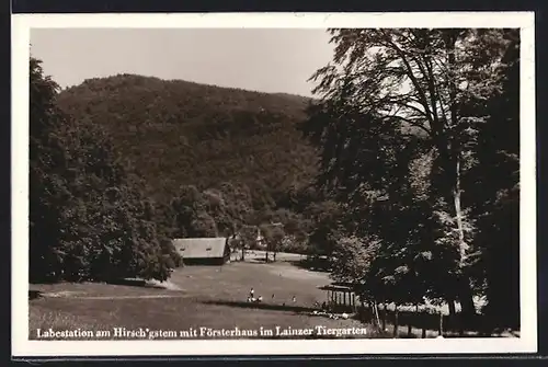 AK Wien-Lainz, Labestation am Hirschg`stemm mit Försterhaus im Lainzer Tiergarten