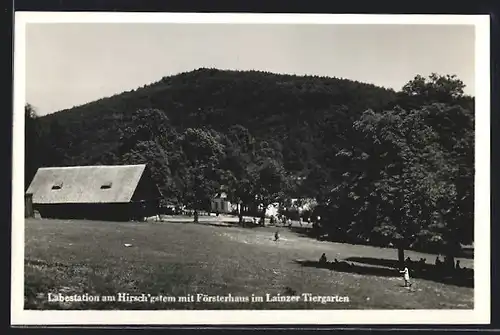 AK Wien-Lainz, Labestation am Hirschg`stemm mit Försterhaus im Lainzer Tiergarten
