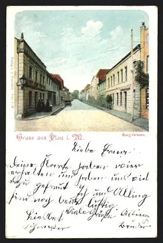 AK Plau i. M., Burgstrasse mit Anwohnern