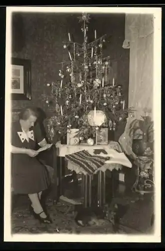 Fotografie Weihnachten, Hausfrau nebst Hund am Weihnachtsbaum