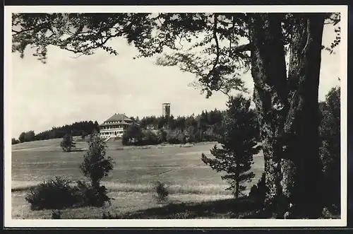 AK Raichberg, Nagelhaus und Aussichtsturm