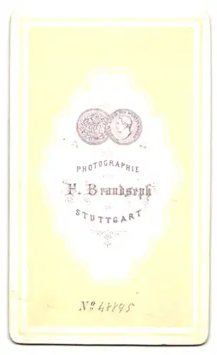 Fotografie Fr. Brandseph, Stuttgart, Portrait ältere Dame im glänzenden Biedermeierkleid mit Haube