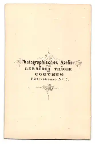 Fotografie Gebrüder Träger, Coethen, Ritterstr. 15, junge Frau im hellen karierten Kleid mit verzierter Handtasche