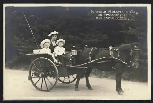 AK Victoria Louise Herzogin von Braunschweig mit Prinzen in einem Ponywagen
