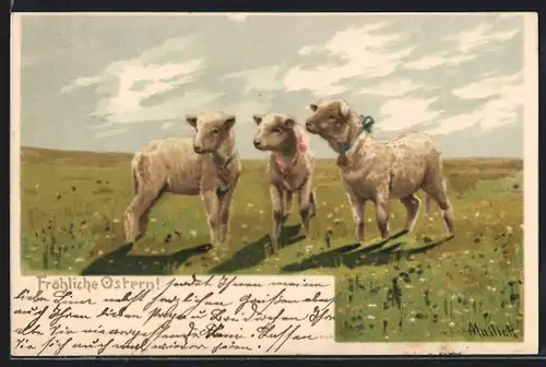 Künstler-AK Alfred Mailick: drei Lämmer auf der Wiese, Oster Grusskarte