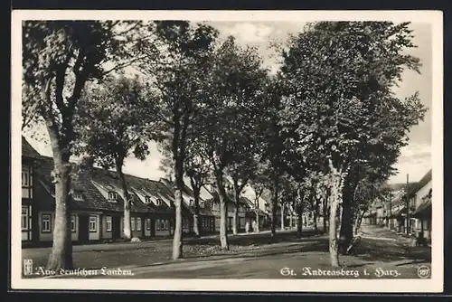 AK St. Andreasberg i. Harz, Die Schützenstrasse mit Wohnhäusern