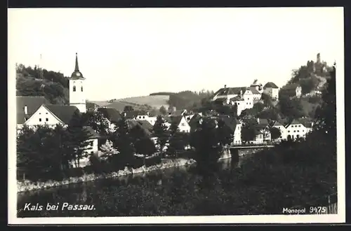 AK Hals b. Passau, Panorama der Ortschaft