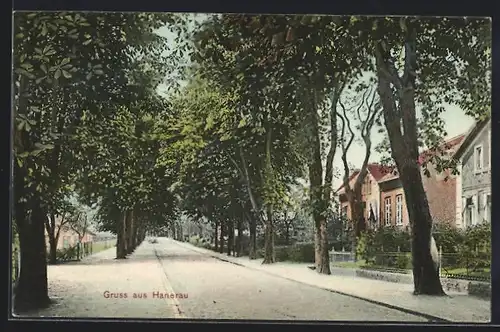AK Hanerau, Strassenpartie mit Häuseransichten