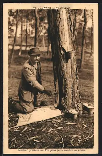 AK Landes de Gascogne, Resinier grattant un Pin pour faire tomber la resine, Harzsammler, Forstwirtschaft