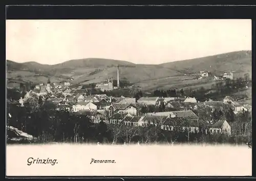 AK Wien-Grinzing, Panorama mit Umgebung
