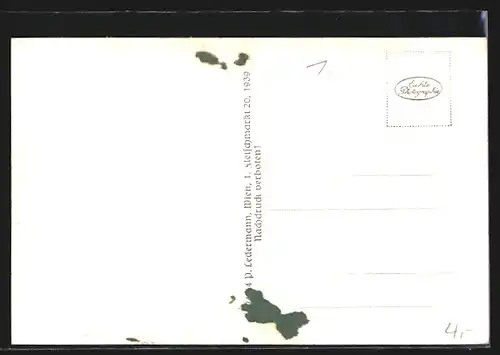 AK Wien-Grinzing, Strassenpartie der Cobenzigasse