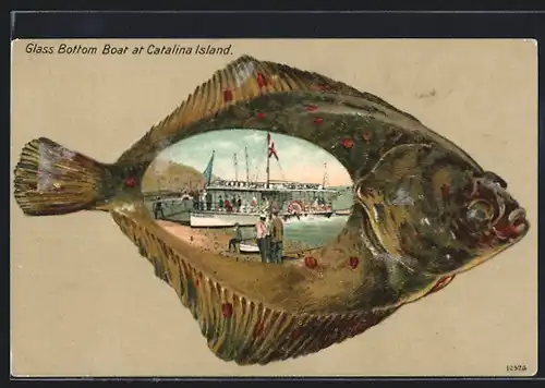 Lithographie Catalina Island, CA, Glass Bottom Boat, Ansicht auf Scholle