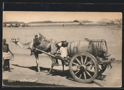 AK Aden, Water Cart, Wassertransport per Kamel