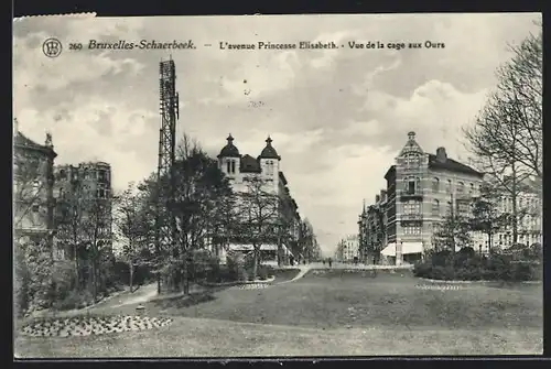 AK Brüssel / Bruxelles, Schaerbeek, L`avenue Princesse Elisabeth, Vue de la cage aux Ours