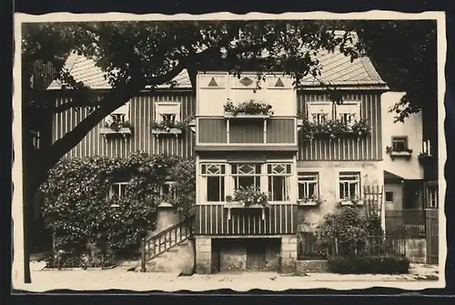 Foto-AK Postelwitz bei Bad Schandau, Hotel-Pension Immenheim M. Dünnebier, Frontansicht